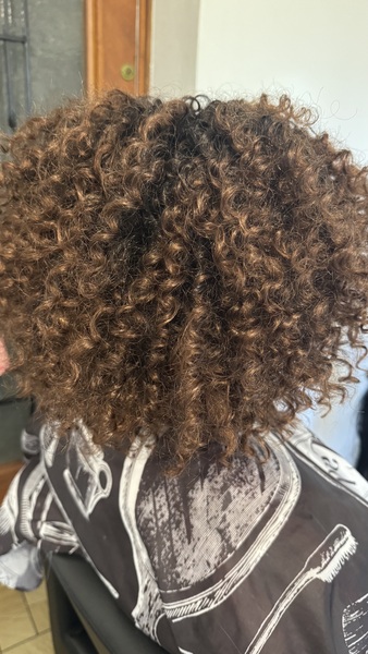 salon de coiffure afro tresse tresses box braids crochet braids vanilles tissages paris 75 77 78 91 92 93 94 95 POVGJJIR