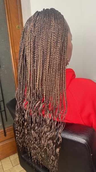 salon de coiffure afro tresse tresses box braids crochet braids vanilles tissages paris 75 77 78 91 92 93 94 95 WLARHLGJ