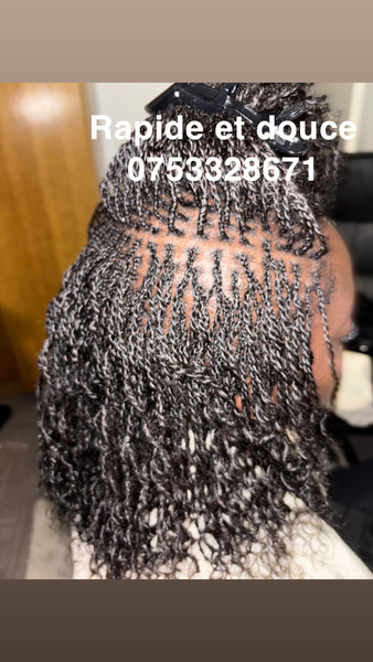 salon de coiffure afro tresse tresses box braids crochet braids vanilles tissages paris 75 77 78 91 92 93 94 95 IEVWSREM