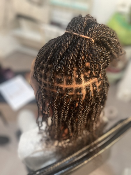 salon de coiffure afro tresse tresses box braids crochet braids vanilles tissages paris 75 77 78 91 92 93 94 95 USLFZSDR