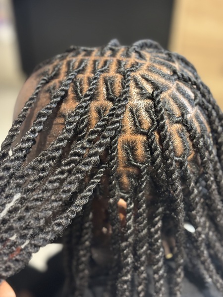 salon de coiffure afro tresse tresses box braids crochet braids vanilles tissages paris 75 77 78 91 92 93 94 95 FHZHXWMN