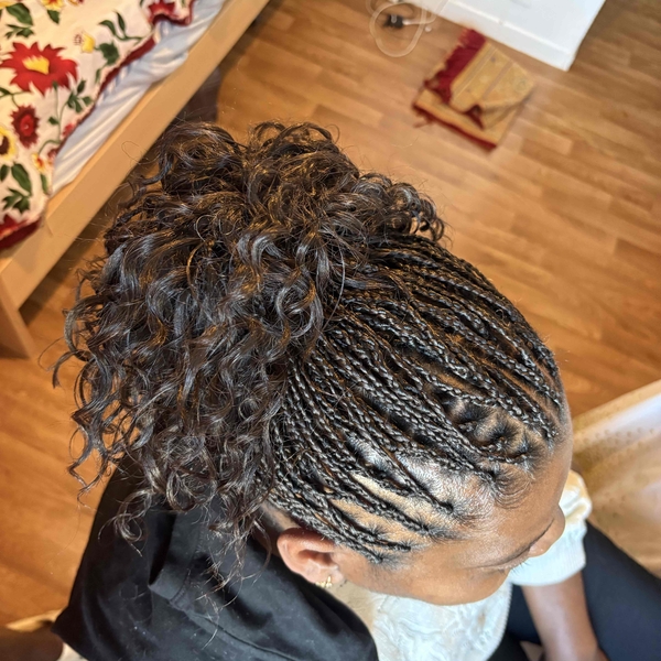 salon de coiffure afro tresse tresses box braids crochet braids vanilles tissages paris 75 77 78 91 92 93 94 95 QTZYGRJY