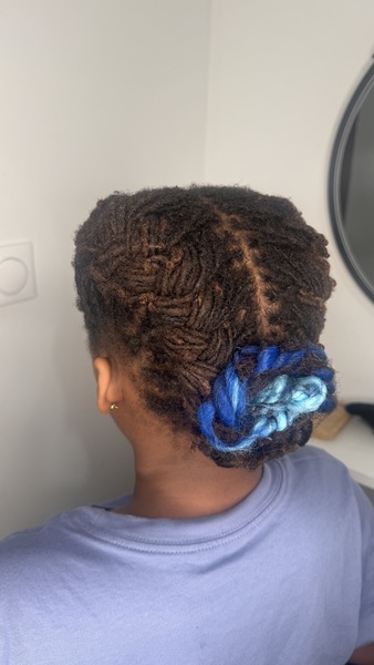 salon de coiffure afro tresse tresses box braids crochet braids vanilles tissages paris 75 77 78 91 92 93 94 95 QXASVKON