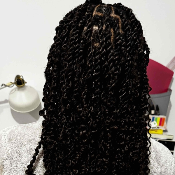 salon de coiffure afro tresse tresses box braids crochet braids vanilles tissages paris 75 77 78 91 92 93 94 95 PTHEIBPM