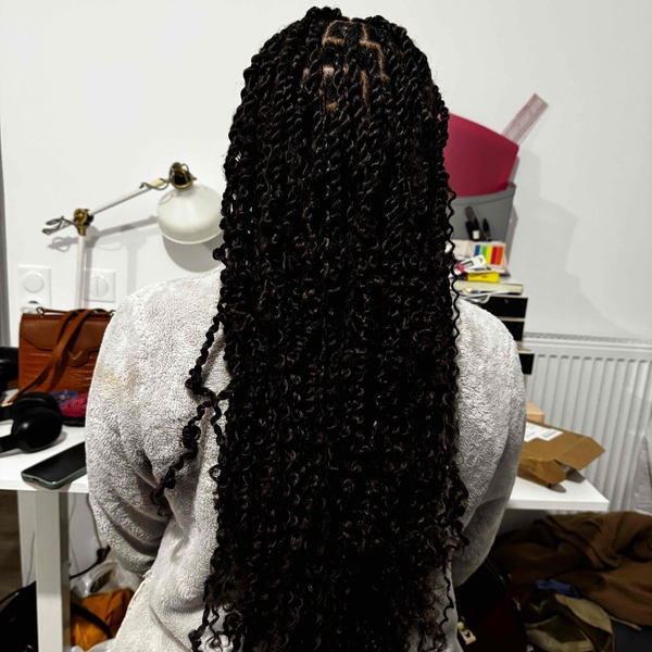 salon de coiffure afro tresse tresses box braids crochet braids vanilles tissages paris 75 77 78 91 92 93 94 95 MZWDHYJY