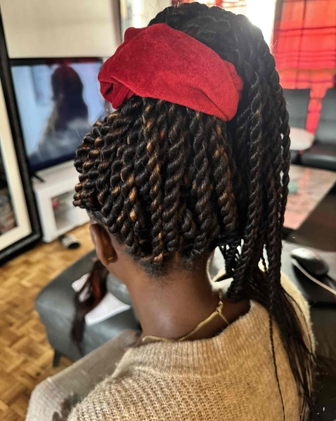 salon de coiffure afro tresse tresses box braids crochet braids vanilles tissages paris 75 77 78 91 92 93 94 95 RMQEPREV