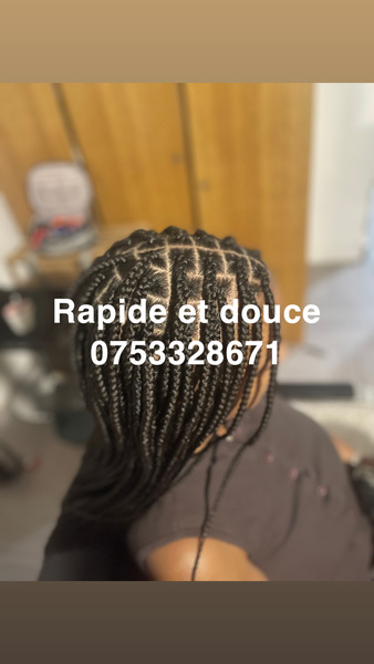 salon de coiffure afro tresse tresses box braids crochet braids vanilles tissages paris 75 77 78 91 92 93 94 95 AVKTNHXU