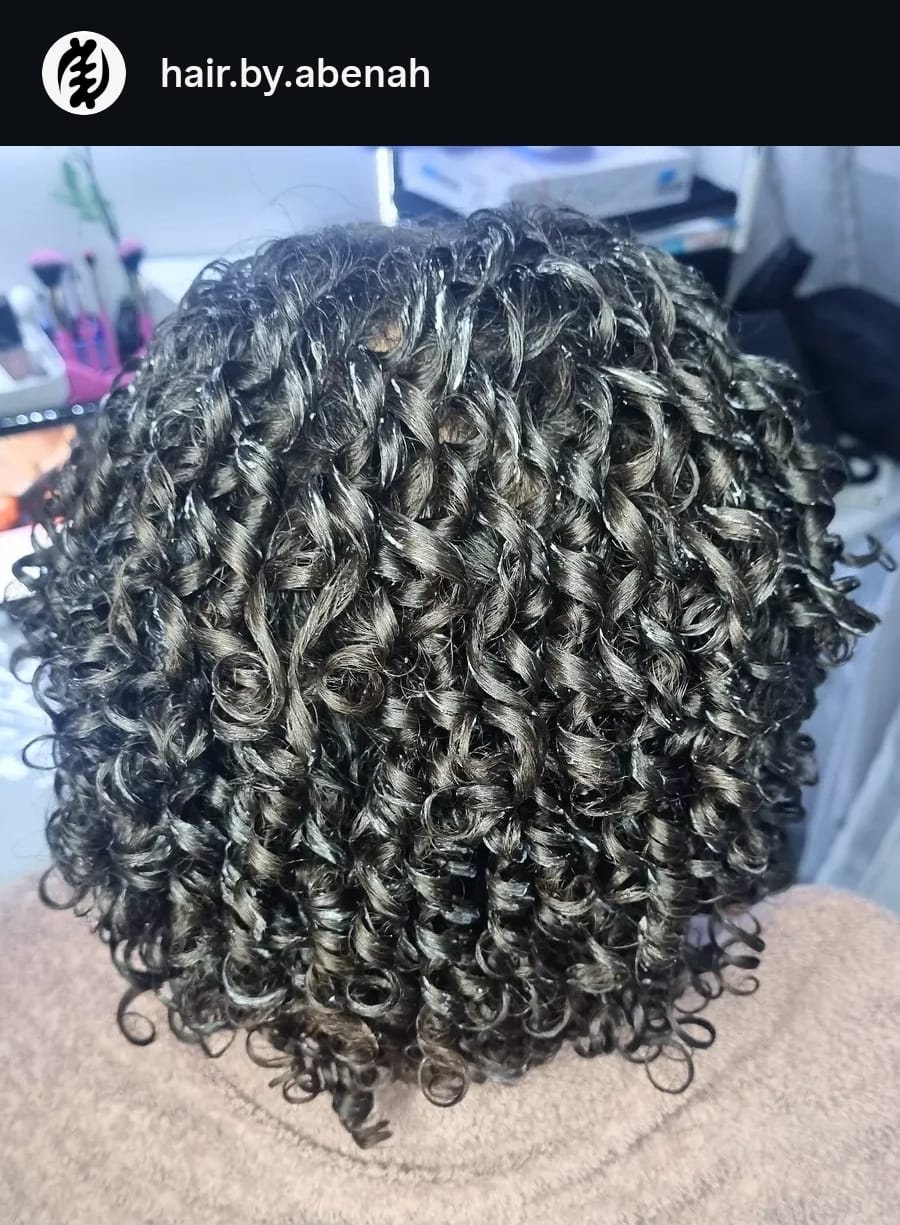 salon de coiffure afro tresse tresses box braids crochet braids vanilles tissages paris 75 77 78 91 92 93 94 95 BTKVHWGO