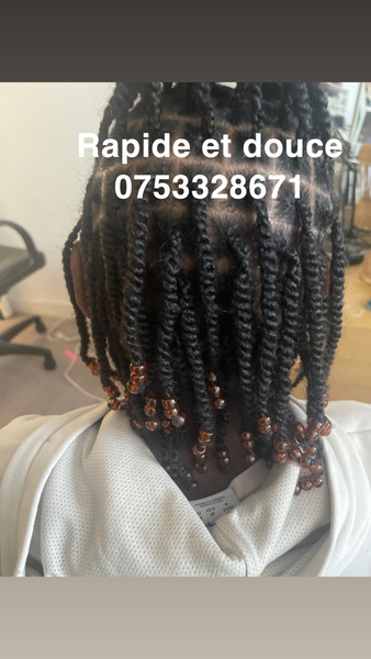 salon de coiffure afro tresse tresses box braids crochet braids vanilles tissages paris 75 77 78 91 92 93 94 95 SAIVGNCR