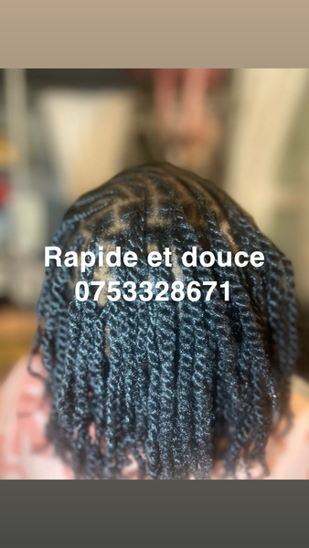 salon de coiffure afro tresse tresses box braids crochet braids vanilles tissages paris 75 77 78 91 92 93 94 95 ZTETVZVY
