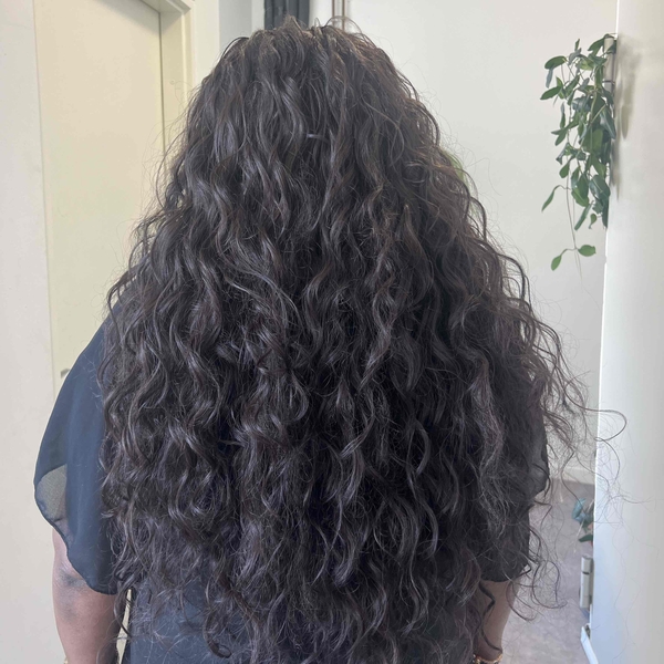salon de coiffure afro tresse tresses box braids crochet braids vanilles tissages paris 75 77 78 91 92 93 94 95 WLCDBLMH