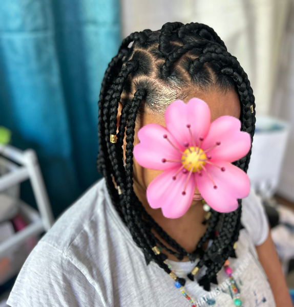 salon de coiffure afro tresse tresses box braids crochet braids vanilles tissages paris 75 77 78 91 92 93 94 95 FJLMDJQA