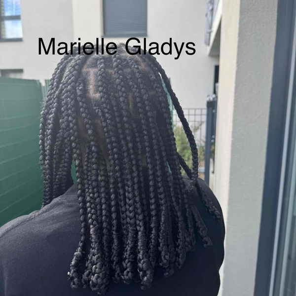 salon de coiffure afro tresse tresses box braids crochet braids vanilles tissages paris 75 77 78 91 92 93 94 95 BXJBITRB