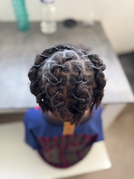 salon de coiffure afro tresse tresses box braids crochet braids vanilles tissages paris 75 77 78 91 92 93 94 95 VPAUDFAX
