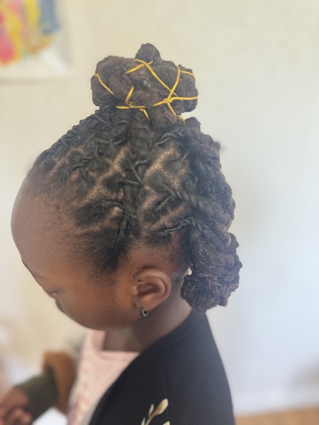 salon de coiffure afro tresse tresses box braids crochet braids vanilles tissages paris 75 77 78 91 92 93 94 95 DKMKVBMR