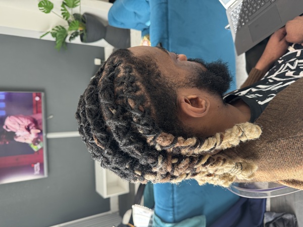 salon de coiffure afro tresse tresses box braids crochet braids vanilles tissages paris 75 77 78 91 92 93 94 95 PBVWRDHQ