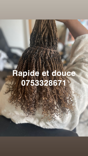 salon de coiffure afro tresse tresses box braids crochet braids vanilles tissages paris 75 77 78 91 92 93 94 95 DKDDJBTL