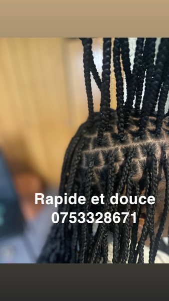 salon de coiffure afro tresse tresses box braids crochet braids vanilles tissages paris 75 77 78 91 92 93 94 95 TBDNPTLI