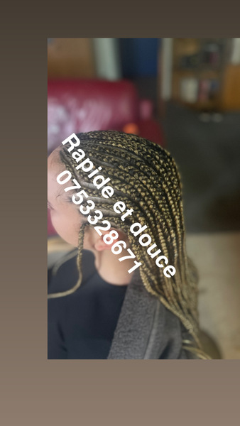 salon de coiffure afro tresse tresses box braids crochet braids vanilles tissages paris 75 77 78 91 92 93 94 95 FASVSQZR