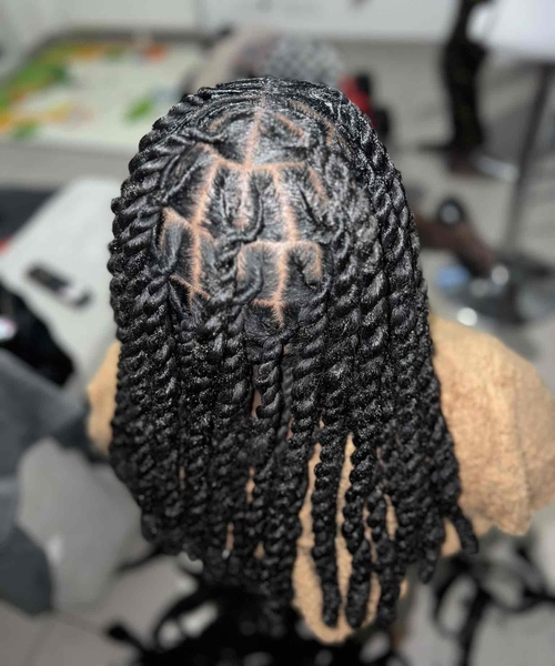 salon de coiffure afro tresse tresses box braids crochet braids vanilles tissages paris 75 77 78 91 92 93 94 95 ZRCVBFWM