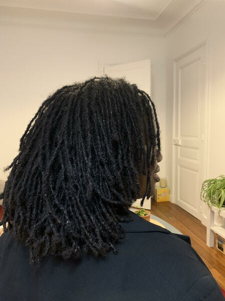 salon de coiffure afro tresse tresses box braids crochet braids vanilles tissages paris 75 77 78 91 92 93 94 95 FOUQFDQL
