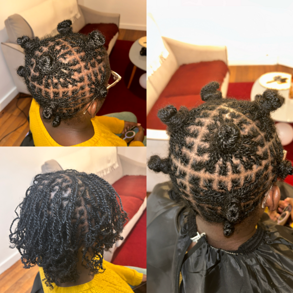 salon de coiffure afro tresse tresses box braids crochet braids vanilles tissages paris 75 77 78 91 92 93 94 95 EYADSLVF