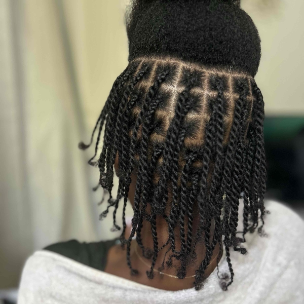 salon de coiffure afro tresse tresses box braids crochet braids vanilles tissages paris 75 77 78 91 92 93 94 95 TGIRKWDX