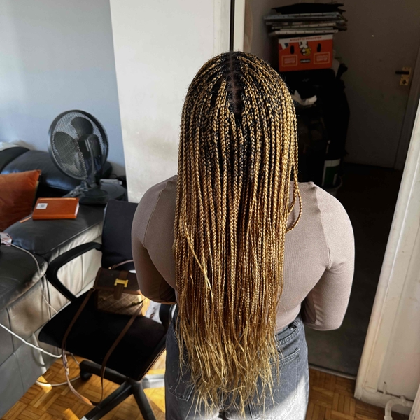salon de coiffure afro tresse tresses box braids crochet braids vanilles tissages paris 75 77 78 91 92 93 94 95 WJXZLHNG