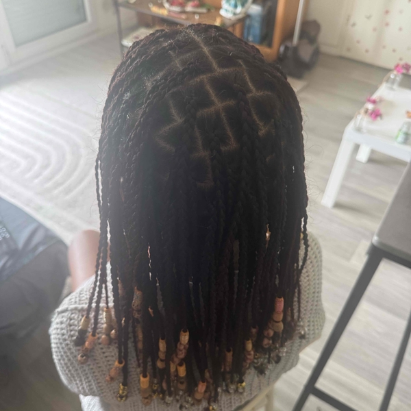 salon de coiffure afro tresse tresses box braids crochet braids vanilles tissages paris 75 77 78 91 92 93 94 95 SLYCTLFW
