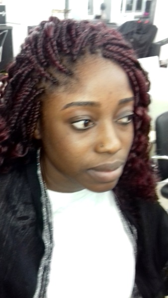 salon de coiffure afro tresse tresses box braids crochet braids vanilles tissages paris 75 77 78 91 92 93 94 95 YKNYQYLI