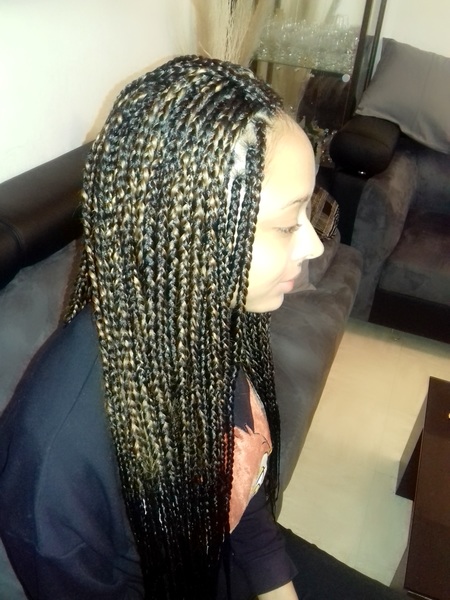 salon de coiffure afro tresse tresses box braids crochet braids vanilles tissages paris 75 77 78 91 92 93 94 95 MFVVDCCM
