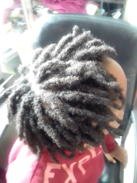 salon de coiffure afro tresse tresses box braids crochet braids vanilles tissages paris 75 77 78 91 92 93 94 95 MTJGSTZR