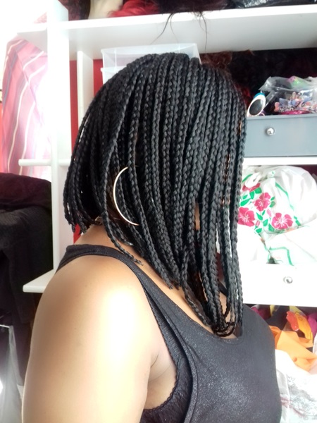 salon de coiffure afro tresse tresses box braids crochet braids vanilles tissages paris 75 77 78 91 92 93 94 95 XOWZOULN