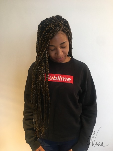 salon de coiffure afro tresse tresses box braids crochet braids vanilles tissages paris 75 77 78 91 92 93 94 95 JNRNQHAI