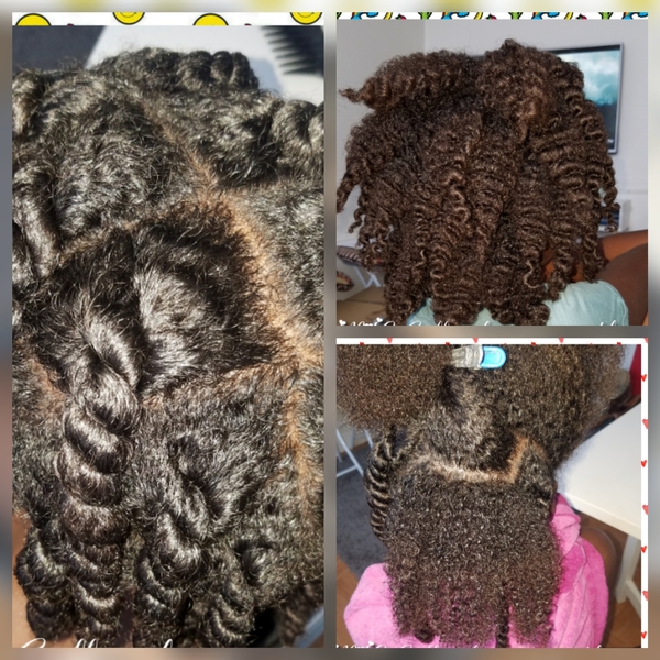 salon de coiffure afro tresse tresses box braids crochet braids vanilles tissages paris 75 77 78 91 92 93 94 95 BNIXXCDU
