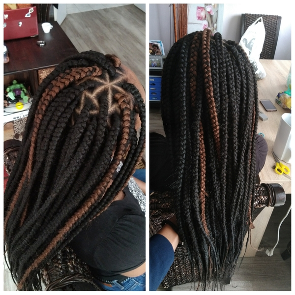 salon de coiffure afro tresse tresses box braids crochet braids vanilles tissages paris 75 77 78 91 92 93 94 95 LJESZQVS