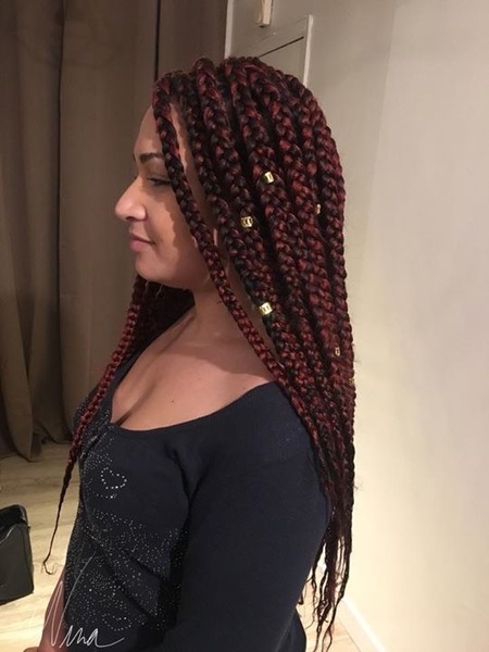 salon de coiffure afro tresse tresses box braids crochet braids vanilles tissages paris 75 77 78 91 92 93 94 95 HLQNAEGL