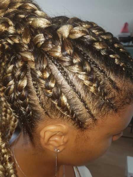 salon de coiffure afro tresse tresses box braids crochet braids vanilles tissages paris 75 77 78 91 92 93 94 95 ANLDEXEY
