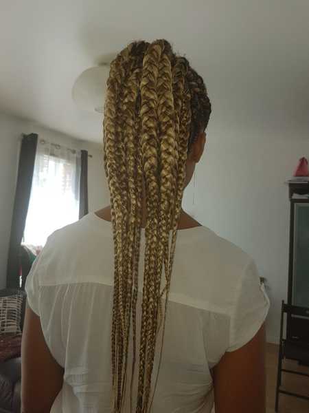 salon de coiffure afro tresse tresses box braids crochet braids vanilles tissages paris 75 77 78 91 92 93 94 95 GZYWHCUH