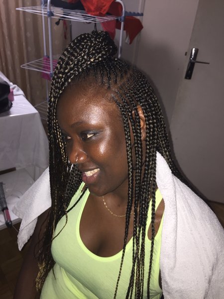 salon de coiffure afro tresse tresses box braids crochet braids vanilles tissages paris 75 77 78 91 92 93 94 95 STPHIJFL
