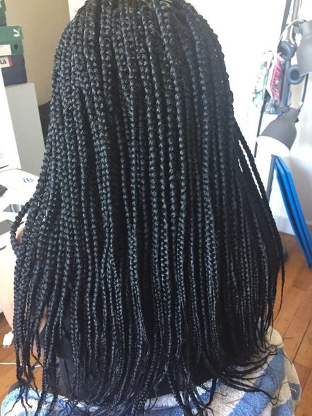 salon de coiffure afro tresse tresses box braids crochet braids vanilles tissages paris 75 77 78 91 92 93 94 95 RKFBIUGJ