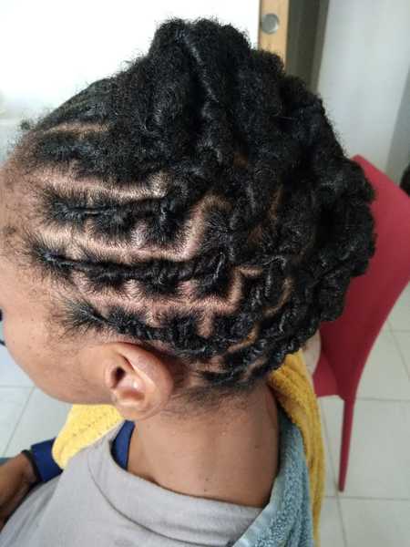 salon de coiffure afro tresse tresses box braids crochet braids vanilles tissages paris 75 77 78 91 92 93 94 95 BRLYZSXH