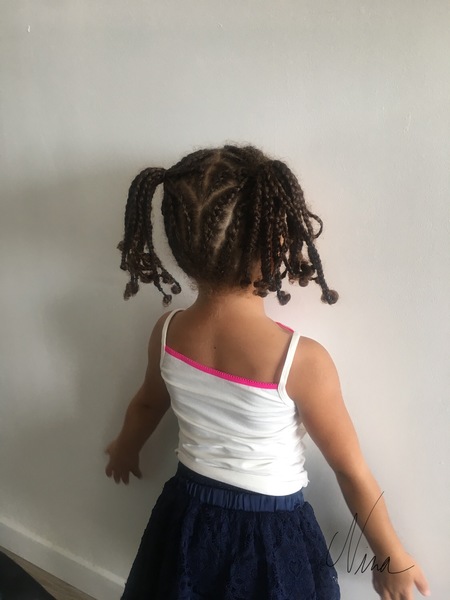 salon de coiffure afro tresse tresses box braids crochet braids vanilles tissages paris 75 77 78 91 92 93 94 95 LBCPQKBF