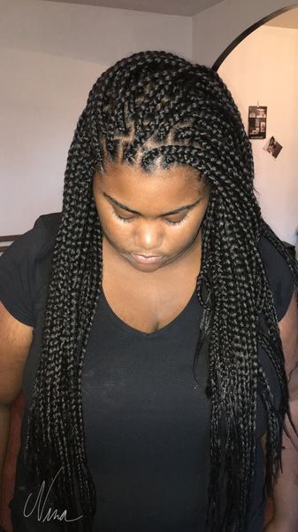 salon de coiffure afro tresse tresses box braids crochet braids vanilles tissages paris 75 77 78 91 92 93 94 95 PEGYVGZZ