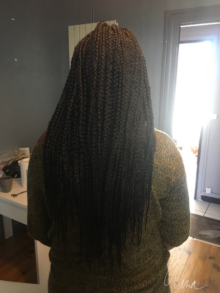 salon de coiffure afro tresse tresses box braids crochet braids vanilles tissages paris 75 77 78 91 92 93 94 95 ZVRHQZTR