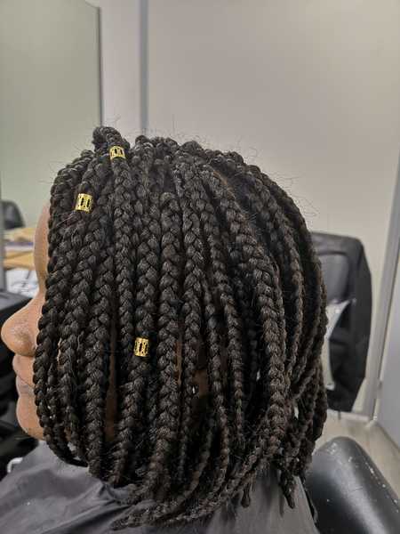 salon de coiffure afro tresse tresses box braids crochet braids vanilles tissages paris 75 77 78 91 92 93 94 95 MHGAYPFL