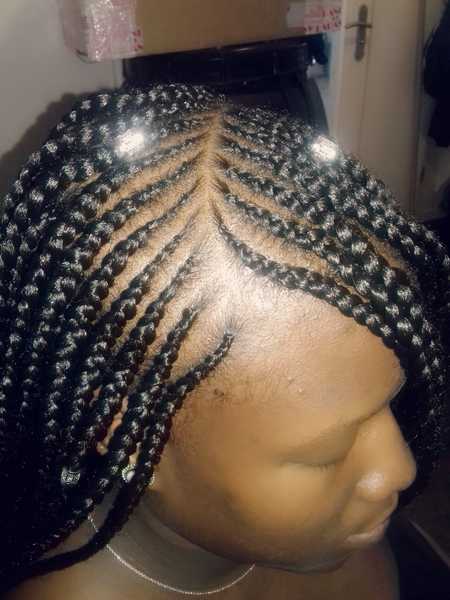salon de coiffure afro tresse tresses box braids crochet braids vanilles tissages paris 75 77 78 91 92 93 94 95 ZCJUBOTH