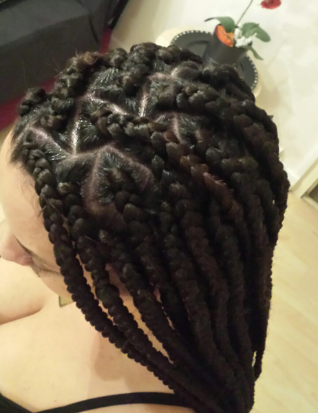 salon de coiffure afro tresse tresses box braids crochet braids vanilles tissages paris 75 77 78 91 92 93 94 95 EBZTJTHI