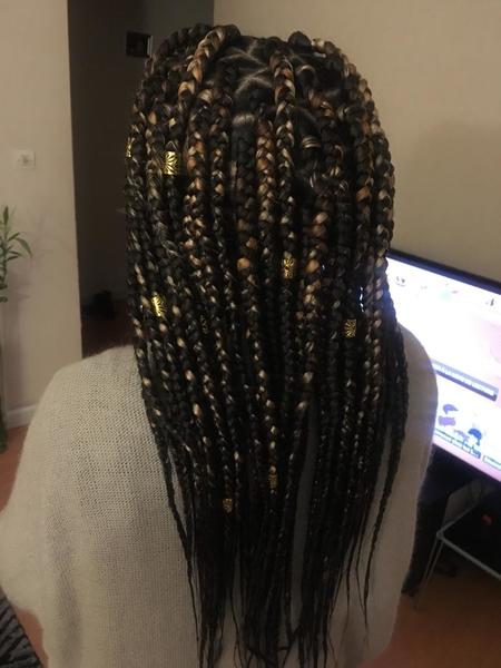 salon de coiffure afro tresse tresses box braids crochet braids vanilles tissages paris 75 77 78 91 92 93 94 95 LYDMMXRC