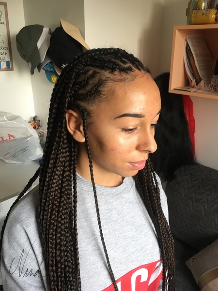 salon de coiffure afro tresse tresses box braids crochet braids vanilles tissages paris 75 77 78 91 92 93 94 95 BXWWQOHP